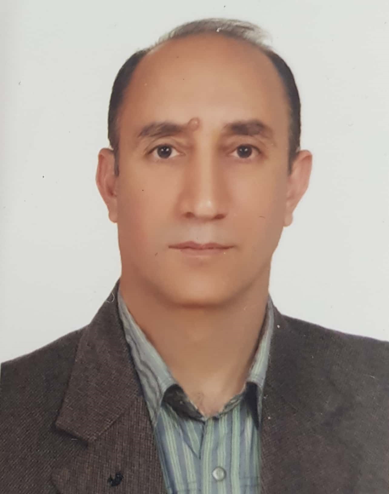 همایون فرهادیان