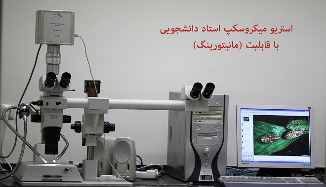 گروه حشره‌شناسی کشاورزی