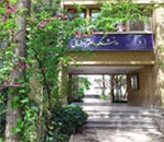 ‌علوم انسانی